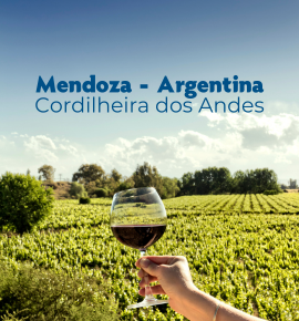 Expedição Mendoza- Cordilheiras - Aconcágua - Estações de Esqui e Vinícolas